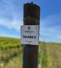 Afbeelding in Gallery-weergave laden, Familia Margaça Talhão 02 Sousão 2021